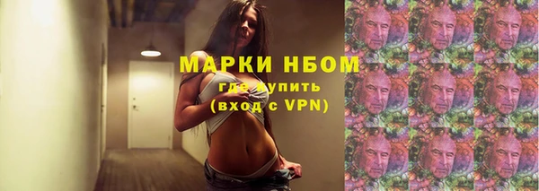 индика Алзамай