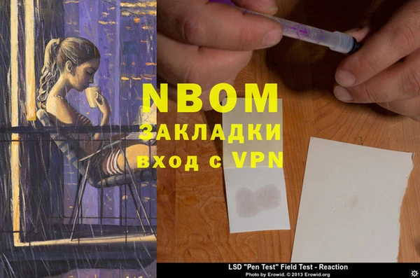 индика Алзамай