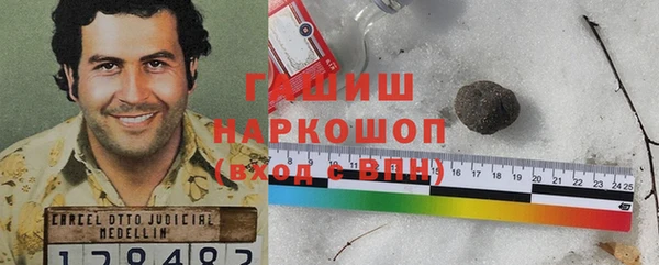 индика Алзамай