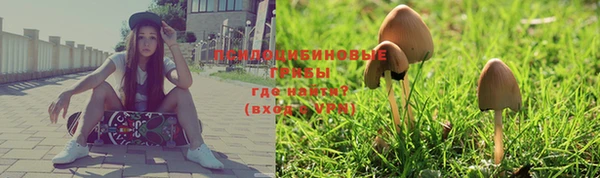 индика Алзамай