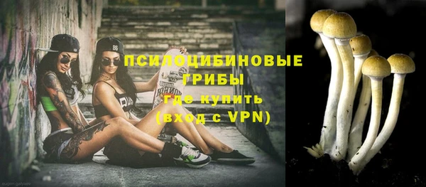 героин Алексин
