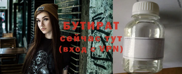 индика Алзамай