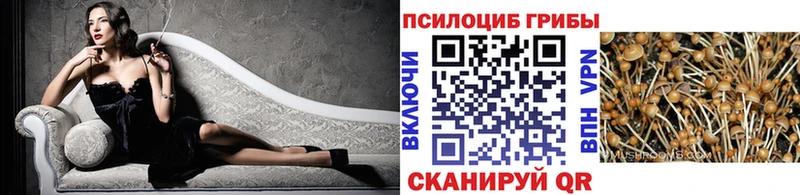 Псилоцибиновые грибы прущие грибы  где купить наркоту  Удомля 