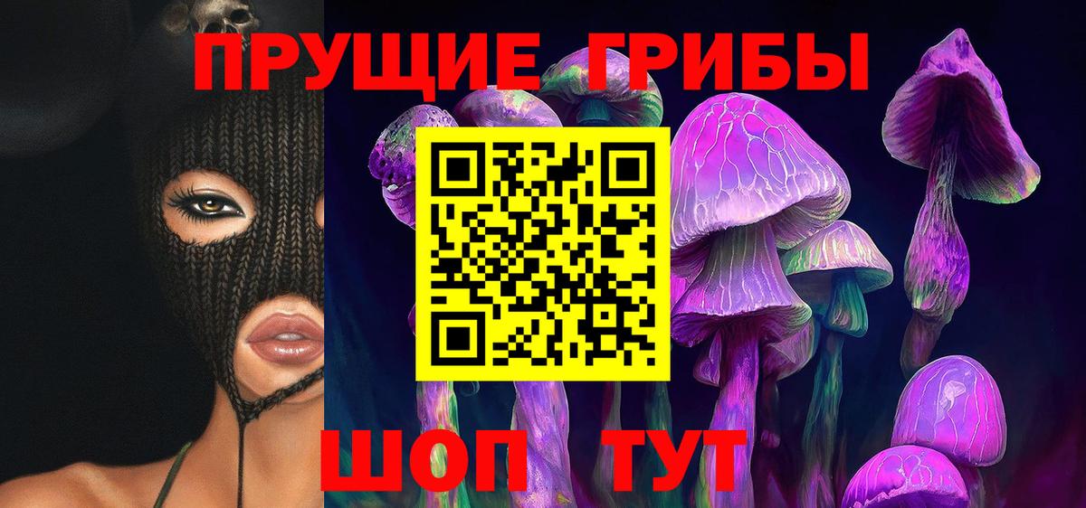 Псилоцибиновые грибы Cubensis Удомля